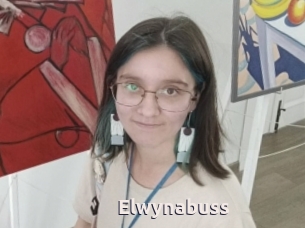 Elwynabuss