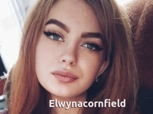 Elwynacornfield