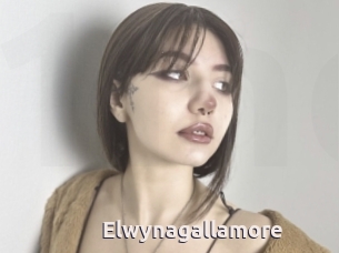 Elwynagallamore