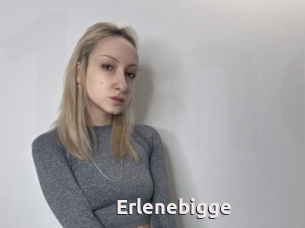 Erlenebigge