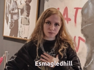 Esmagledhill