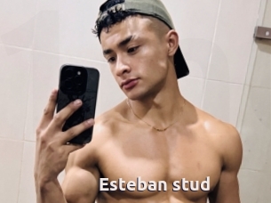 Esteban_stud