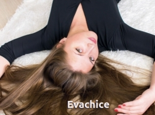 Evachice
