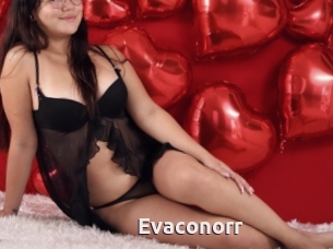 Evaconorr