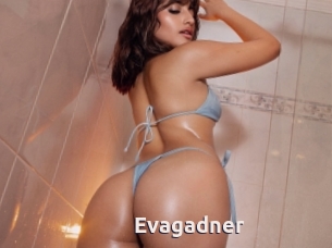 Evagadner