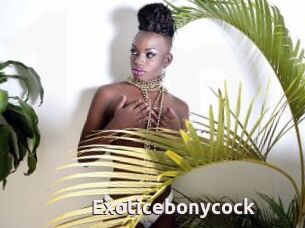 Exoticebonycock