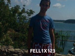FELL1X123