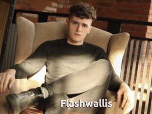 Flashwallis