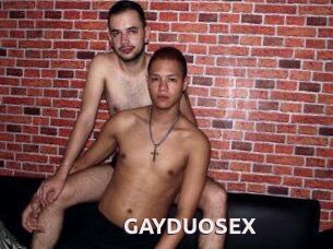 GAY_DUO_SEX