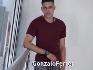 GonzaloFerrer
