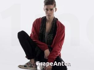 GrapeAnton