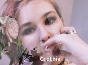 Grothia