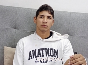Gaelreyes
