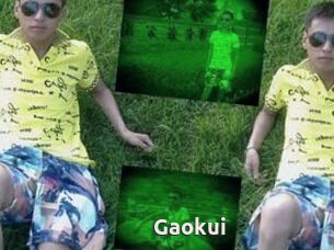 Gaokui