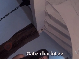 Gate_charlotee