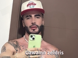 Gawainn_zeldris