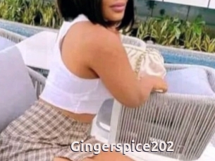Gingerspice202