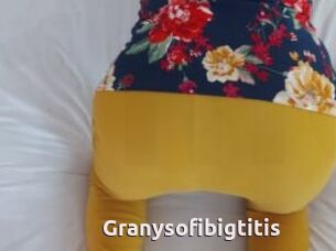 Granysofibigtitis