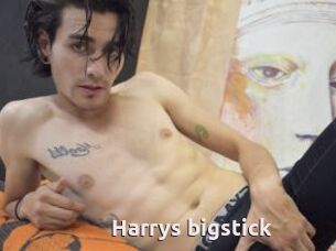 Harrys_bigstick