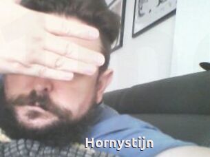 Hornystijn