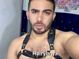 Hairyboyx
