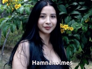 Hamnaholmes