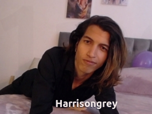 Harrisongrey