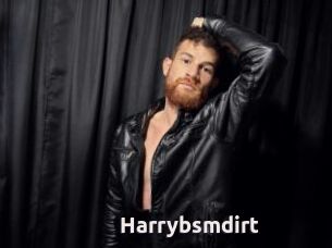Harrybsmdirt
