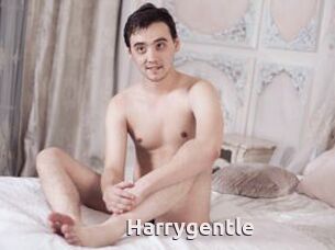Harrygentle