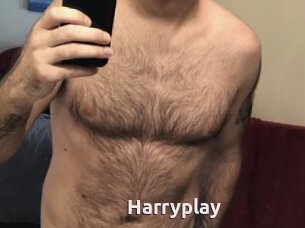 Harryplay