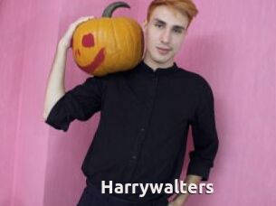 Harrywalters