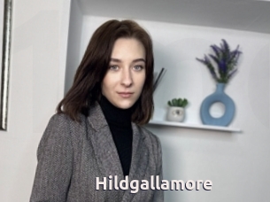 Hildgallamore