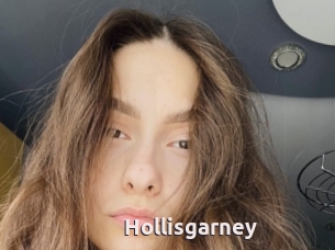 Hollisgarney