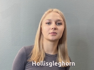 Hollisgleghorn