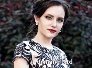Humming_bird