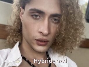 Hybridepool