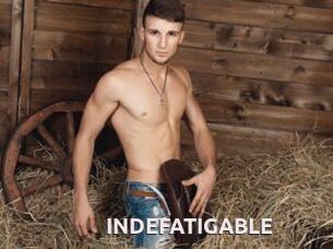 INDEFATIGABLE
