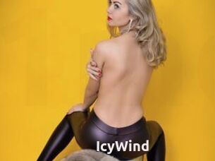 IcyWind