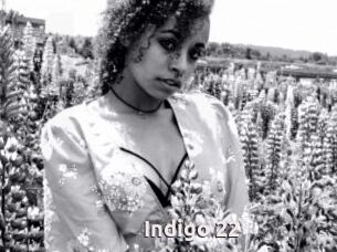 Indigo_22
