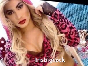 Irisbigcock