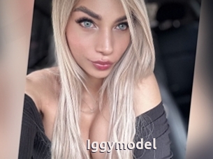 Iggymodel