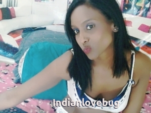 Indianlovebug