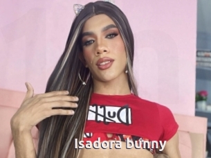 Isadora_bunny