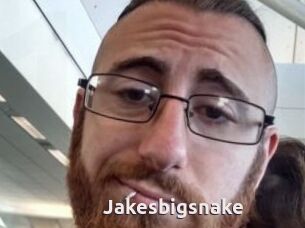 Jakesbigsnake