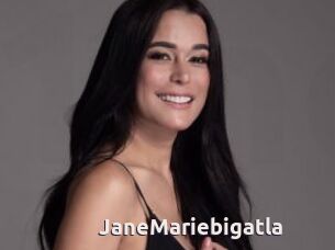 JaneMariebigatla