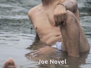 Joe_Novel