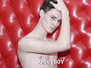 JoeyB0Y