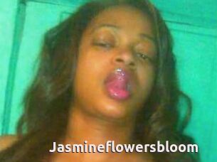 Jasmineflowersbloom