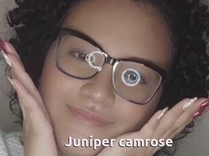 Juniper_camrose