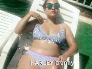 KARLEY_tranny
